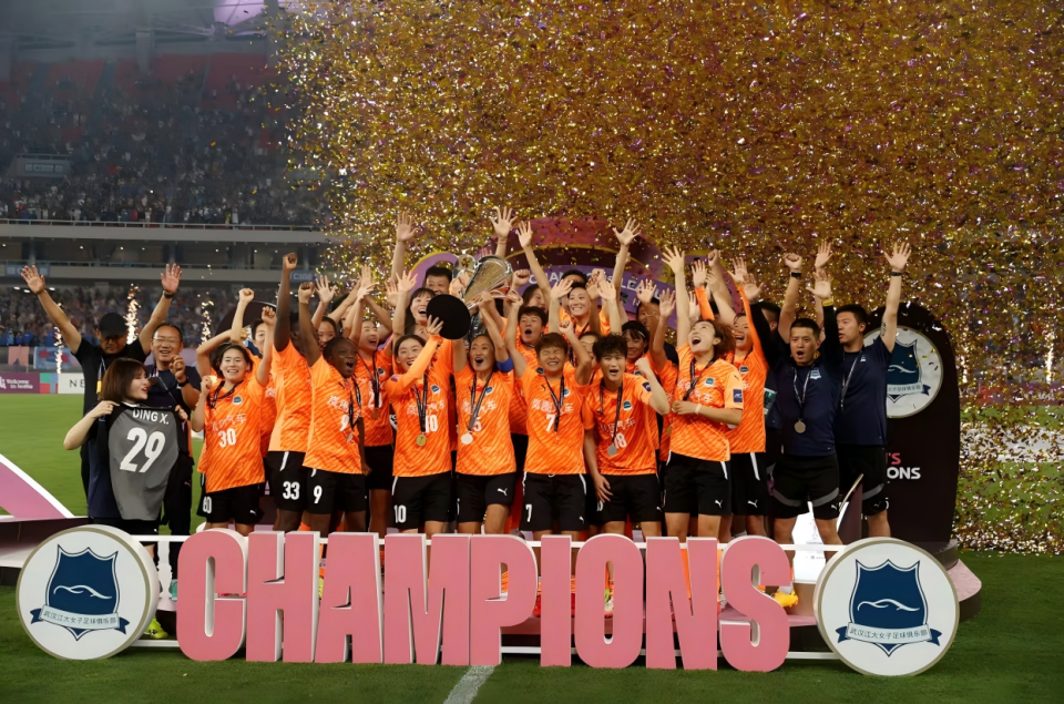 界舞台的精, 认可