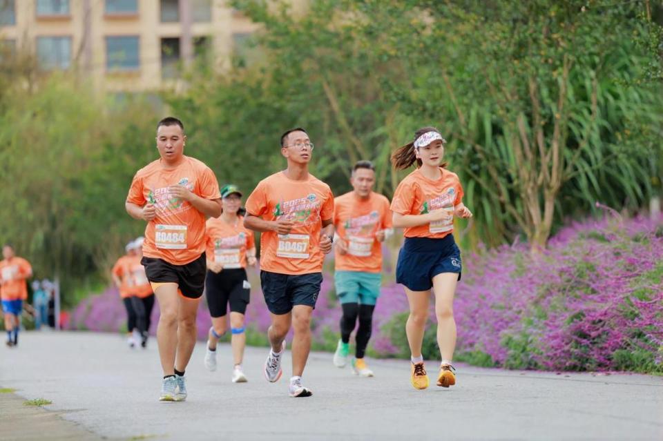 南的生活 南的生活