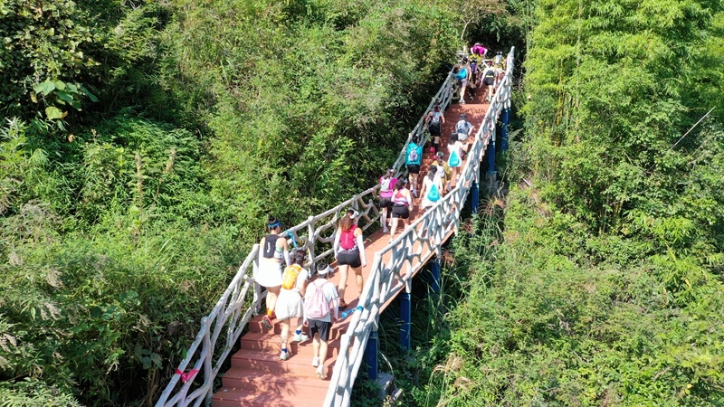 通过登山大, msn 通过登山大, msn