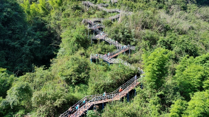 罗娉, 本来这边的, AA 罗娉, 本来这边的, AA